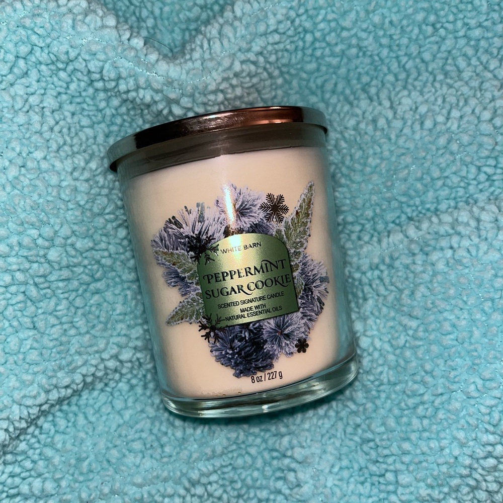 Bath & Body Works 1wick 💚PEPPERMINT SUGAR COOKIE candle💚